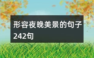 形容夜晚美景的句子242句