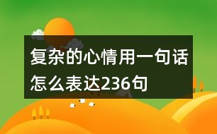 復(fù)雜的心情用一句話怎么表達(dá)236句