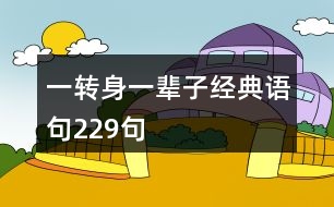 一轉(zhuǎn)身一輩子經(jīng)典語(yǔ)句229句