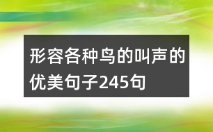 形容各種鳥的叫聲的優(yōu)美句子245句