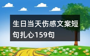 生日當(dāng)天傷感文案短句扎心159句