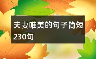 夫妻唯美的句子簡短230句