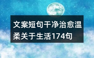 文案短句干凈治愈溫柔關(guān)于生活174句