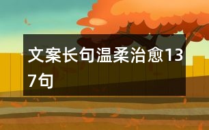 文案長(zhǎng)句溫柔治愈137句