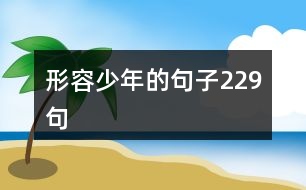 形容少年的句子229句