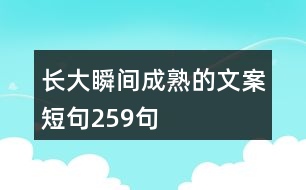 長大瞬間成熟的文案短句259句