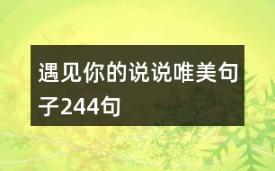 遇見(jiàn)你的說(shuō)說(shuō)唯美句子244句