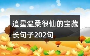 追星溫柔很仙的寶藏長(zhǎng)句子202句