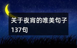 關(guān)于夜宵的唯美句子137句