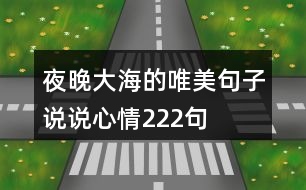 夜晚大海的唯美句子說說心情222句