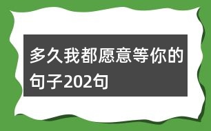 多久我都愿意等你的句子202句