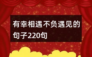 有幸相遇,不負(fù)遇見(jiàn)的句子220句