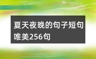 夏天夜晚的句子短句唯美256句