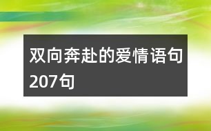 雙向奔赴的愛情語句207句