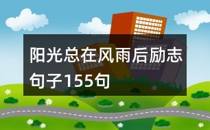 陽光總在風雨后勵志句子155句