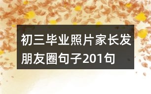 初三畢業(yè)照片家長發(fā)朋友圈句子201句