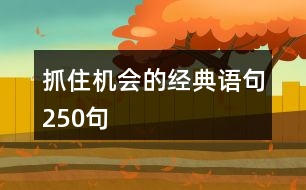 抓住機(jī)會的經(jīng)典語句250句