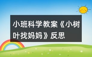 小班科學教案《小樹葉找媽媽》反思