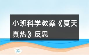 小班科學教案《夏天真熱》反思