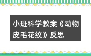 小班科學教案《動物皮毛花紋》反思