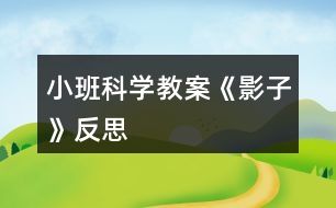 小班科學教案《影子》反思