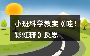 小班科學(xué)教案《哇！彩虹糖》反思