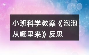 小班科學(xué)教案《泡泡從哪里來》反思