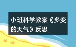 小班科學教案《多變的天氣》反思