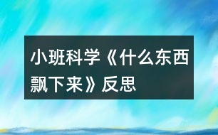 小班科學(xué)《什么東西飄下來》反思