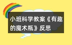 小班科學(xué)教案《有趣的魔術(shù)瓶》反思