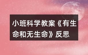 小班科學教案《有生命和無生命》反思