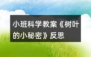 小班科學(xué)教案《樹葉的小秘密》反思