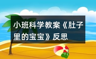 小班科學(xué)教案《肚子里的寶寶》反思