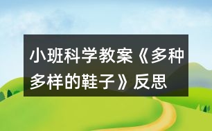 小班科學(xué)教案《多種多樣的鞋子》反思