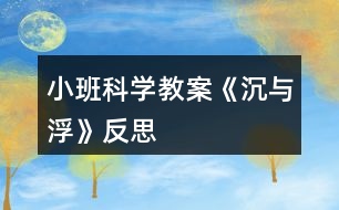 小班科學(xué)教案《沉與浮》反思