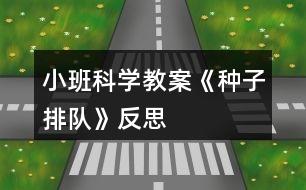 小班科學教案《種子排隊》反思