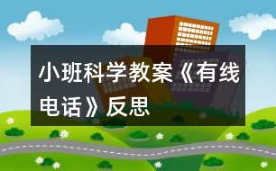 小班科學教案《有線電話》反思