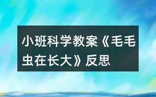 小班科學(xué)教案《毛毛蟲在長(zhǎng)大》反思