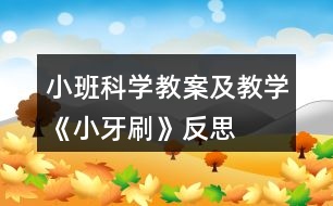 小班科學(xué)教案及教學(xué)《小牙刷》反思