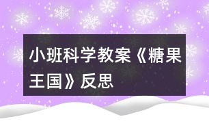 小班科學教案《糖果王國》反思