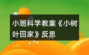 小班科學(xué)教案《小樹(shù)葉回家》反思