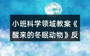 小班科學領域教案《醒來的冬眠動物》反思