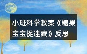 小班科學(xué)教案《糖果寶寶捉迷藏》反思