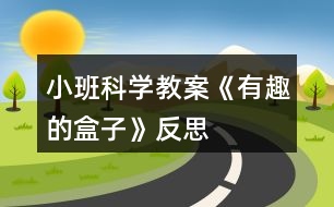 小班科學(xué)教案《有趣的盒子》反思