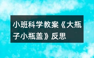 小班科學(xué)教案《大瓶子小瓶蓋》反思