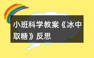 小班科學(xué)教案《冰中取糖》反思