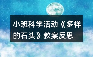 小班科學(xué)活動《多樣的石頭》教案反思