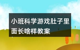 小班科學(xué)游戲肚子里面長啥樣教案