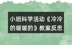 小班科學(xué)活動(dòng)《冷冷的暖暖的》教案反思