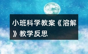 小班科學教案《溶解》教學反思